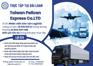THỰC TẬP CÓ LƯƠNG TẠI ĐÀI LOAN – NGÀNH LOGISTICS – XUẤT NHẬP KHẨU – THƯƠNG MẠI ĐIỆN TỬ